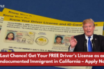 Last Chance! Get Your FREE Driver’s License as an Undocumented Immigrant in California – Apply Now