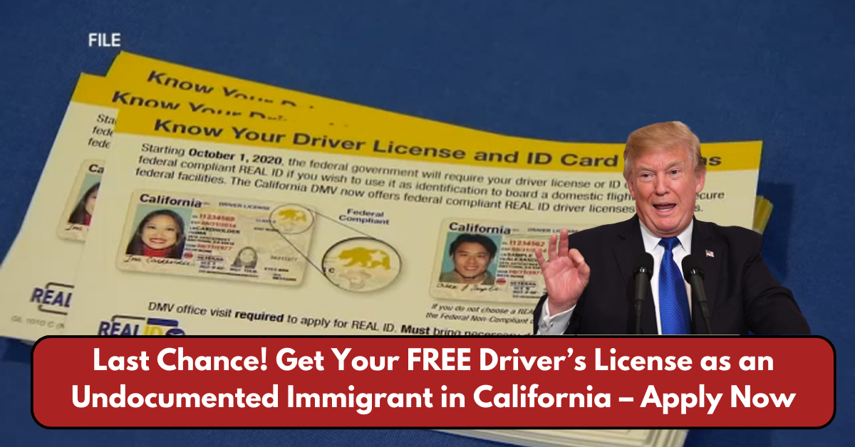 Last Chance! Get Your FREE Driver’s License as an Undocumented Immigrant in California – Apply Now