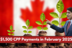 $1,500 CPP Payments in February 2025