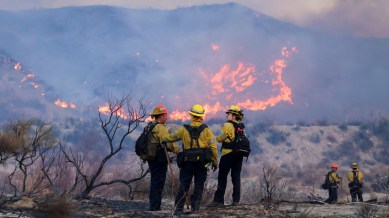 Trump Administration Fires Federal Workers Who Help Fight Wildfires Weeks After LA Blazes