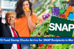 $292 Food Stamp Checks Arrive for SNAP Recipients in March