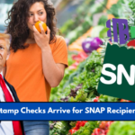 $292 Food Stamp Checks Arrive for SNAP Recipients in March