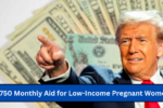 $750 Monthly Aid for Low-Income Pregnant Women