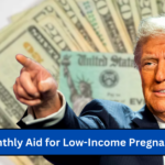 $750 Monthly Aid for Low-Income Pregnant Women