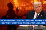 Trump Administration Fires Federal Workers Who Help Fight Wildfires Weeks After LA Blazes