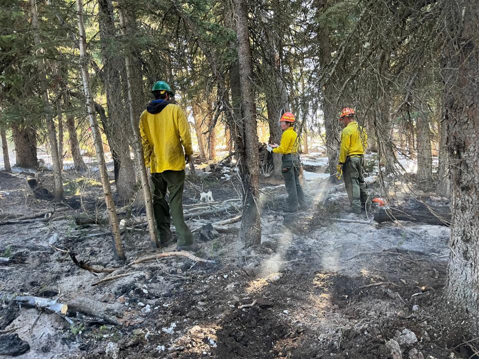 Trump Administration Fires Federal Workers Who Help Fight Wildfires Weeks After LA Blazes