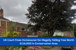 UK Court Fines Homeowner for Illegally Felling Tree Worth £114,000 in Conservation Area