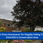 UK Court Fines Homeowner for Illegally Felling Tree Worth £114,000 in Conservation Area